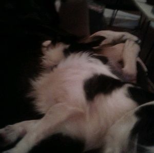 Meet your Posher, Janice